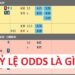 Giải Thích Tỉ Lệ Cược Odds – Tỷ Lệ Cược (Odds) Trong Cá Độ Là Gì?